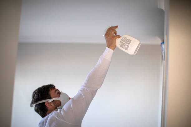Best Mold Testing  in Jessup, PA