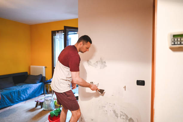 Best Black Mold Removal  in Jessup, PA